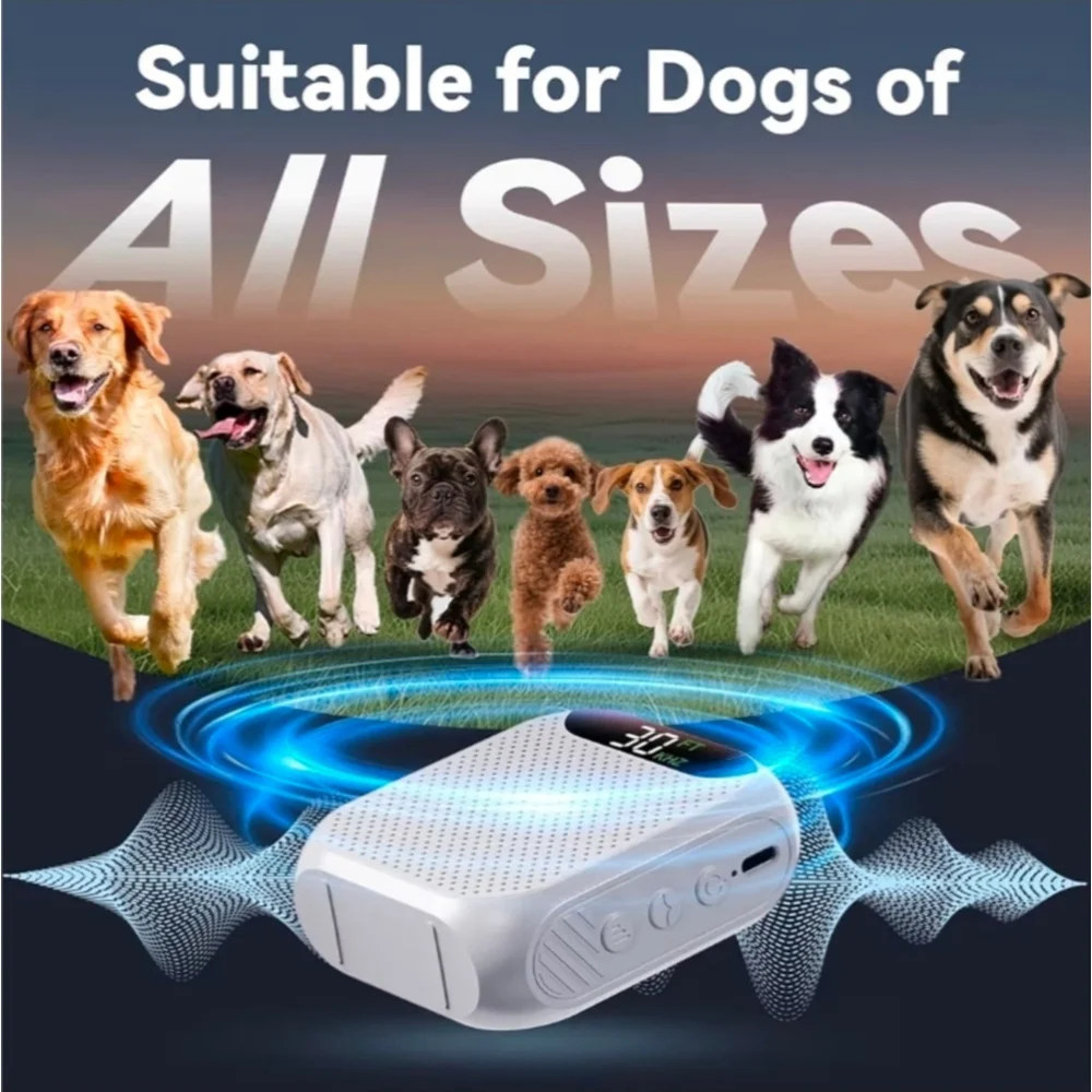 Amazon malok dog